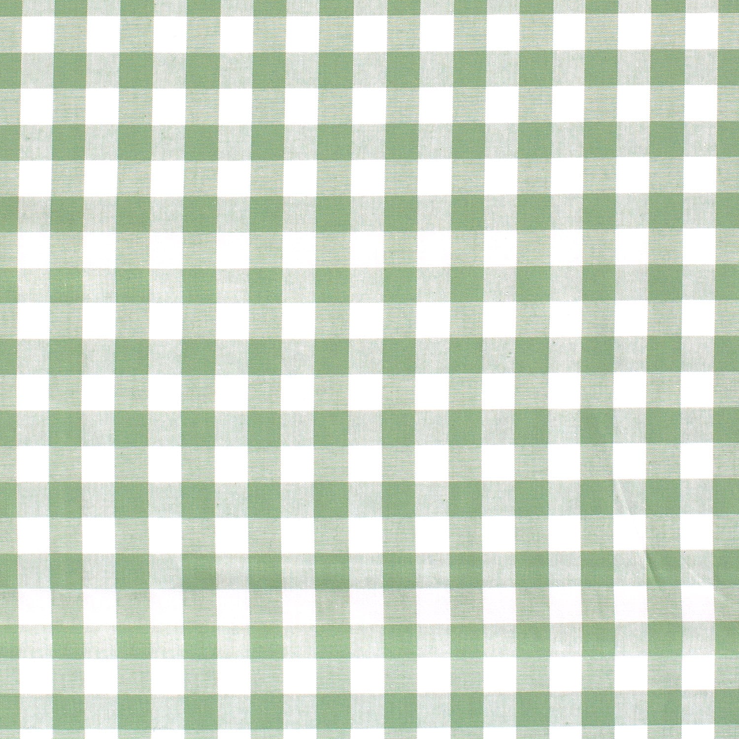 Poplin Gingham Grønn