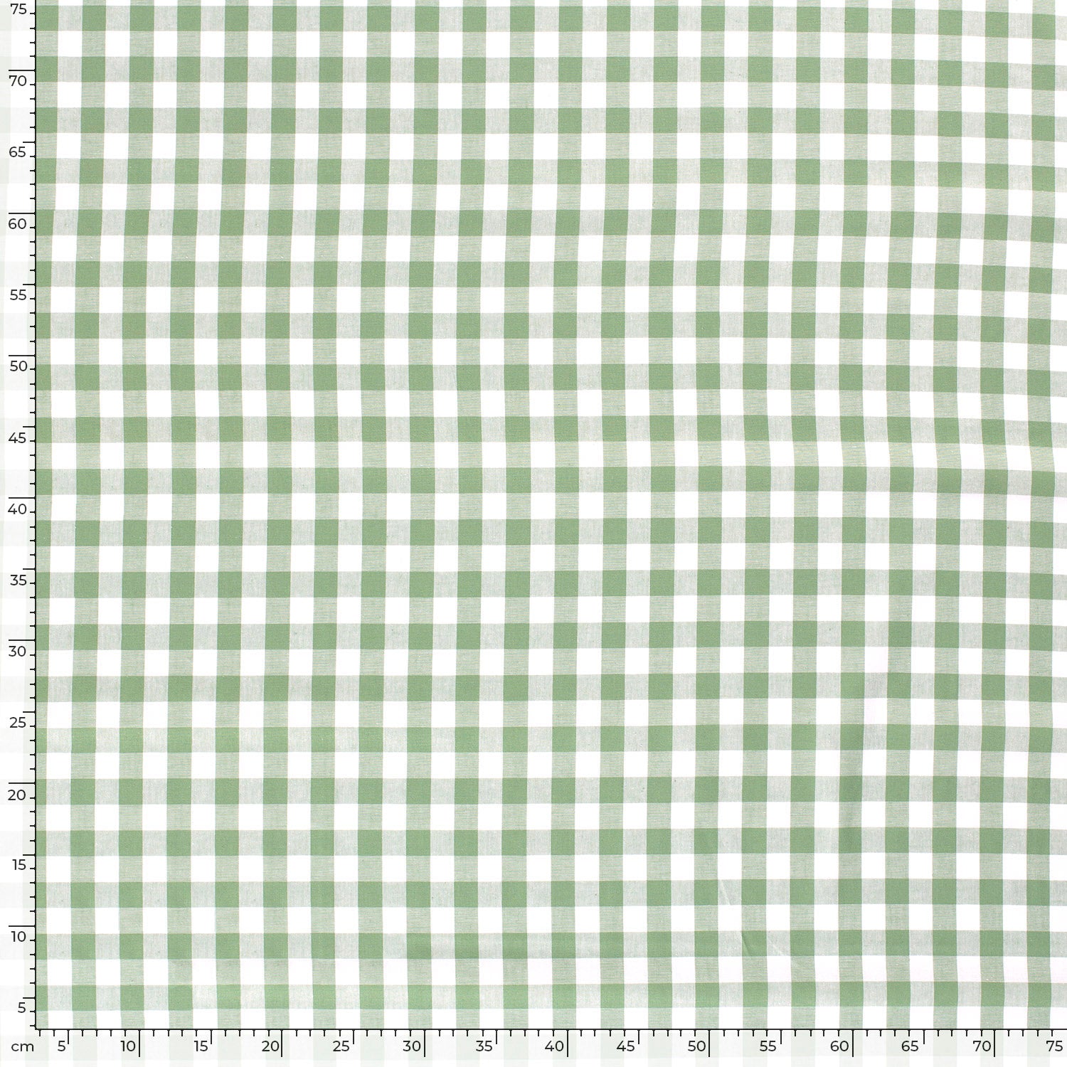 Poplin Gingham Grønn