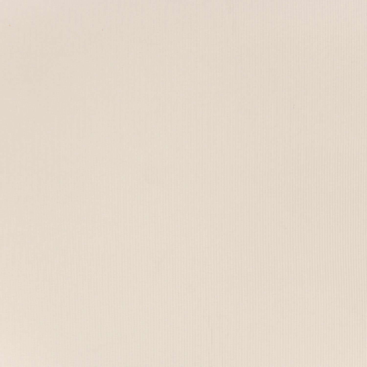 Ribb Jersey Nude