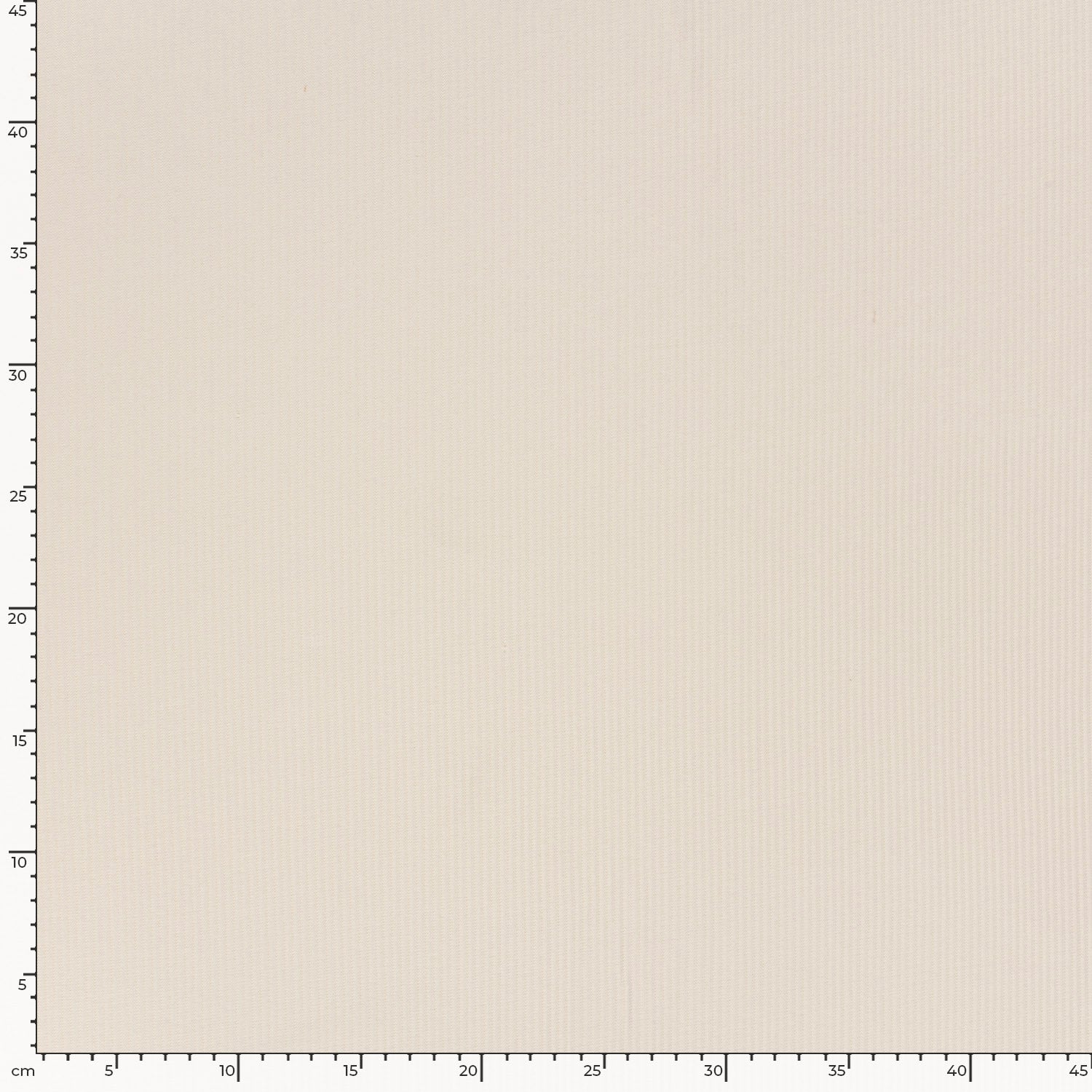 Ribb Jersey Nude